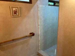 坦波Lodge Margouillat的浴室里设有玻璃门淋浴