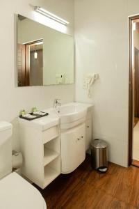 康提Kings Ridge Kandy的一间带水槽、卫生间和镜子的浴室