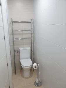 洛格罗尼奥Logroño Centro Home的一间小浴室,在摊位设有厕所
