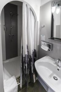 阿尔比公园的啤酒屋酒店的浴室配有水槽和带浴帘的淋浴