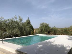 马尔莫莱霍La Aragonesa的一个倒着树木的游泳池
