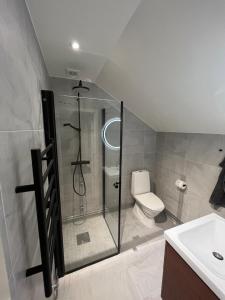马尔默Nice Apartment close to everything的带淋浴、卫生间和盥洗盆的浴室