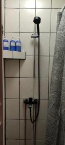 特于塞Villa Pikkumustikka的瓷砖墙上带水管的淋浴