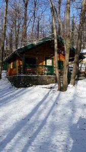 米罗CHALET ETNA MILO的地面上积雪的树林中的小木屋