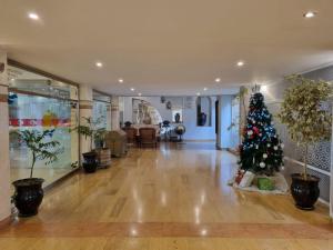 丹吉尔El Oumnia Puerto & Spa的走廊中间的圣诞树
