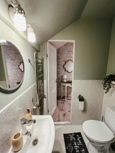 VaboleGuest house Laimes taure的一间带水槽、卫生间和镜子的浴室