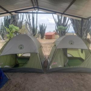 比利亚维哈Tatacoa barzalosa posada的两顶绿色帐篷位于天篷下