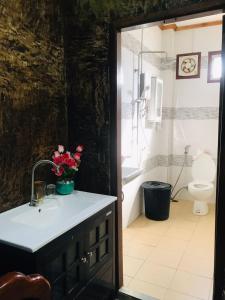 沙湾拿吉xaythone guest house的一间带水槽、浴缸和卫生间的浴室