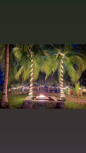 拉斯拉哈斯Show Pony Beach Resort and Suites的公园里一群棕榈树,灯光照亮