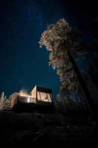 萨拉Salla Wilderness Lodges的夜晚有树的玻璃屋