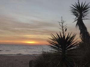 阿格德角Golden Paradise 007 Port Nat的日落时在海滩上种植棕榈树