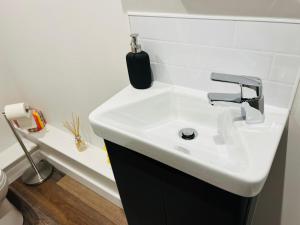 赫里福德Apartment 5 Sullivan House的浴室配有白色水槽和卫生间。