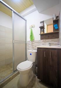 萨兰托Hotel Casa Quinta Salento的一间带卫生间和淋浴的浴室