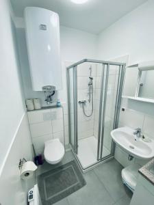 巴德伊舍Einzimmer-Apartment 25 m2 Gartenzinken im Zentrum von Bad Ischl的带淋浴、卫生间和盥洗盆的浴室
