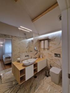 波尔图Porta Nobre - Exclusive Living Hotel的一间带水槽和卫生间的大浴室