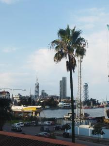 巴统MARSEİLLE PALACE HOTEL的棕榈树城市天际线美景