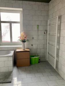 伊泽拉河畔亚布洛内茨Penzion Breuer的带浴缸、水槽和窗户的浴室