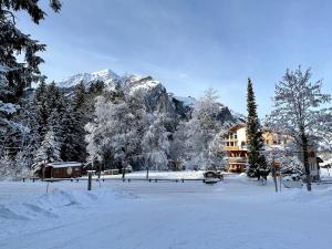 坎德施泰格Typically Swiss Hotel Ermitage的一座建筑物前的雪覆盖的山