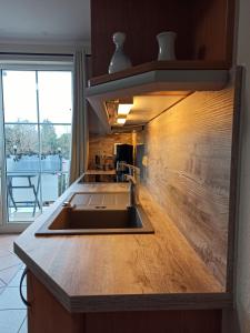 青斯特Appartment Relaxtage的一个带水槽和木墙的厨房