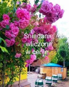 戈鲁别Willa Zamkowisko z ogrodowym jacuzzi的花园里的一束粉红色玫瑰