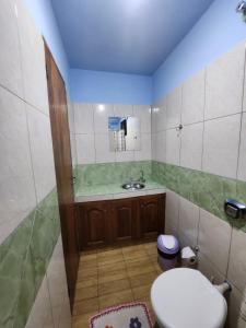 伊瓜苏港Rinconcito Iguazú的一间带卫生间和水槽的小浴室