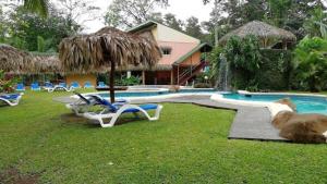 别霍港Villas del Caribe的一个带椅子和遮阳伞的游泳池的度假酒店