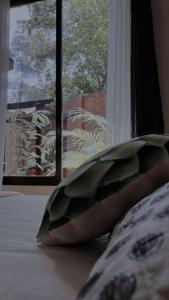 福尔图纳Honey House 2018的枕头坐在窗前的床上