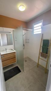 莱昂斯-达赫雷Appartement vue mer Chez Ti Louis - Grande Anse的一间带水槽和淋浴的浴室