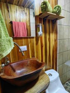 San RafaelOnca Tours & Treehouses的一间带木制水槽和卫生间的浴室