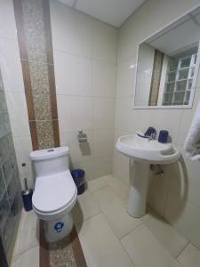 瓜亚基尔Hotel Boutique The Royalty的白色的浴室设有卫生间和水槽。