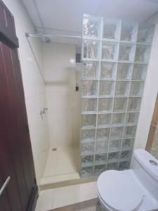 瓜亚基尔Hotel Boutique The Royalty的浴室设有卫生间和带玻璃架的淋浴间。