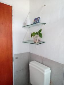 米娜克拉韦罗Madrenatura的浴室设有卫生间、架子和植物