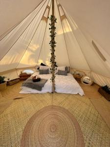 锡瓦塔塔内霍Hostel Flakos的帐篷,配有一张床,里面有一棵树