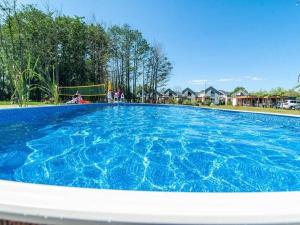 尼彻兹Comfortable, air-conditioned holiday houses, pool, sauna, Niechorze的庭院里的一个蓝色的大游泳池
