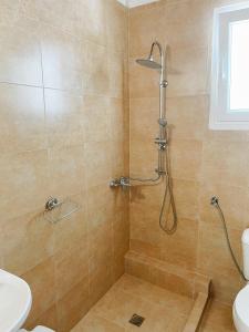 特劳洛斯Villa Elpiniki的带淋浴、卫生间和盥洗盆的浴室