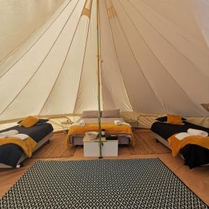 克莱斯韦克Creswick Holiday Park的一个带两张床的帐篷和一个地毯
