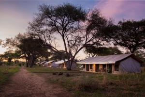 Kwa KuchiniaBaobab Tented Camp的树木林立的帐篷
