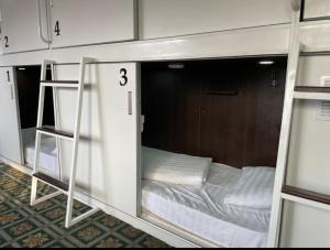 比什凯克Capsule hotel TechnoCave的带双层床和梯子的客房