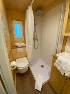 哈姆Tiny House Wupper im PIER9 Tiny House Hotel的一间带卫生间和淋浴的小浴室