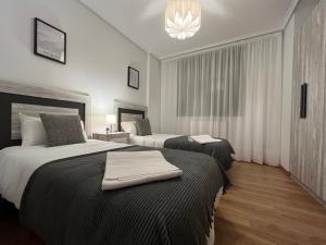 圣比森特德拉松谢拉Apartamento San Vicente de la Sonsierra Confort的酒店客房设有两张床和吊灯。