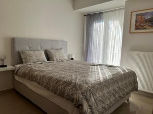 塞萨洛尼基SilverLine Comfort Apartment的一间卧室设有一张大床和一个窗户。