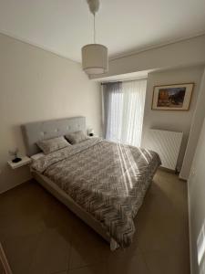 塞萨洛尼基SilverLine Comfort Apartment的一间卧室设有一张床和一个窗口