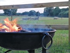 BrisleyThe Huddle at Big Sky Brisley的火烤架和田野上的羊