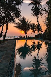 米瑞莎Saltasia Boutique Beach Villa的棕榈树海滩上的日落和游泳池