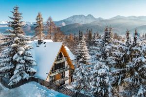 考斯赛力克Tatry Residence SPA的山间小屋,有雪覆盖的树木