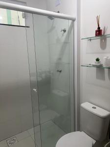 巴雷里尼亚斯Apartamento nos Lencois Confort的一间带卫生间的浴室内的玻璃淋浴间