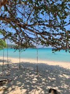 通奈潘海滩Pen's Bungalow Koh Phangan的沙滩上和水面上树木繁茂的海滩