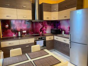 里加Cat Garden Elegant Apartments Riga的厨房配有木制橱柜和不锈钢冰箱。