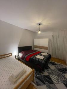 佩奇Lovely apartment in Peja Citycenter的一间带两张床的卧室和地毯