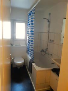 因特拉肯Interlaken City Apartments的浴室配有卫生间、浴缸和水槽。